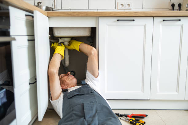 Best Leak Detection Services  in Lenexa, KS